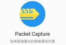 Android安卓抓包工具packet下载-大年网 - 邱大年,邱大大大年